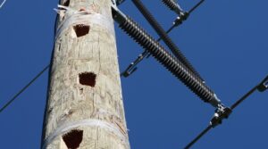 Damage Poles