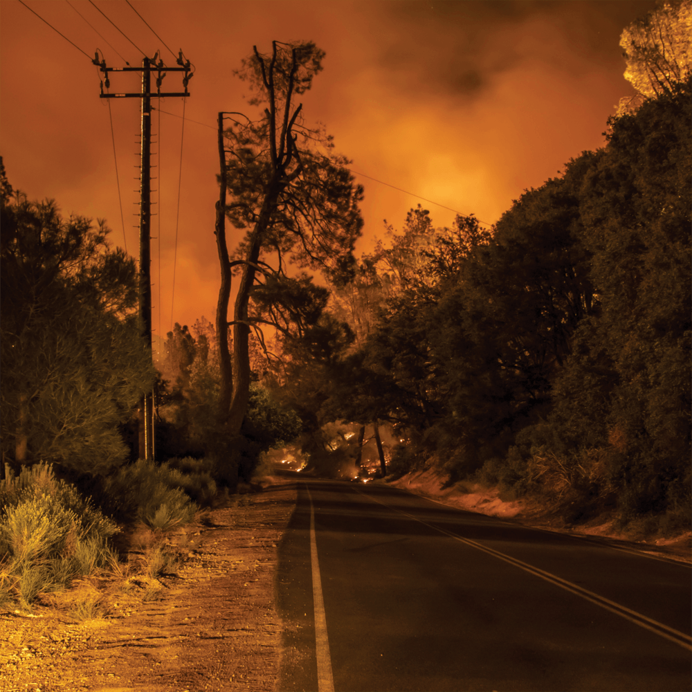 A rural road lined with trees, illuminated by an intense orange glow from a wildfire burning in the background. Smoke fills the sky, and power lines run alongside the road.