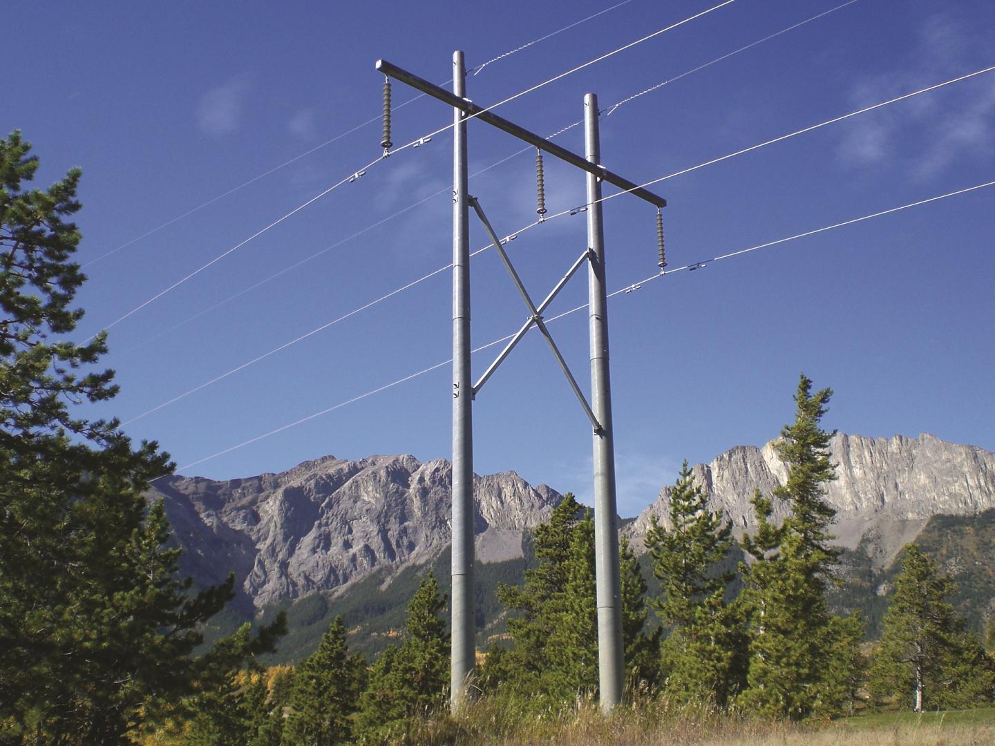 Two metal power line poles with wires stand in a grassy area with green trees and tall, rocky mountains in the background under a clear blue sky.