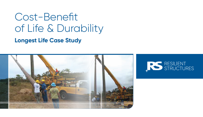 Workers in hard hats observe as cranes lift poles beside a road. The text reads, Cost-Benefit of Life & Durability, Longest Life Case Study. RS Resilient Structures logo appears on the right.