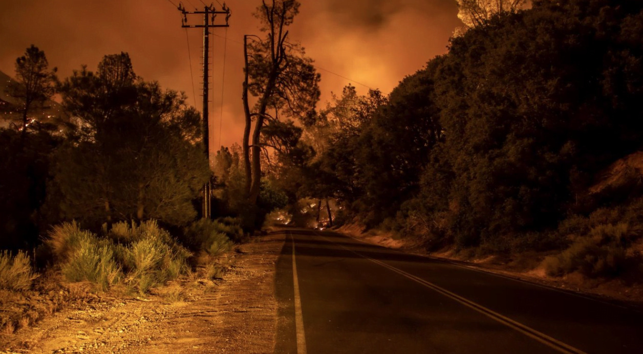 A dark road runs through a forest at night, with bright orange flames and smoke in the background from a wildfire. Power lines and trees line the road.