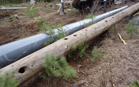 A metal pipeline and a weathered wooden pole with holes lay parallel on the ground among small pine trees and dirt in a forested area.